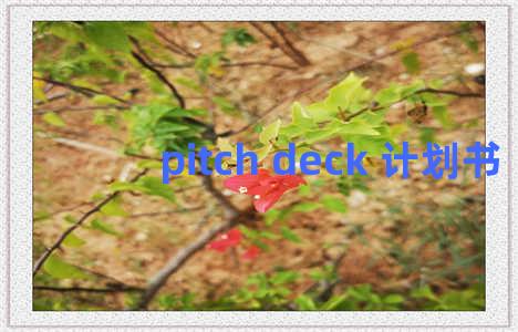 pitch deck 计划书